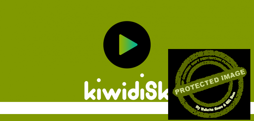 kiwidisk