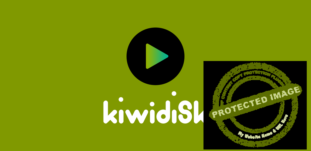 kiwidisk com