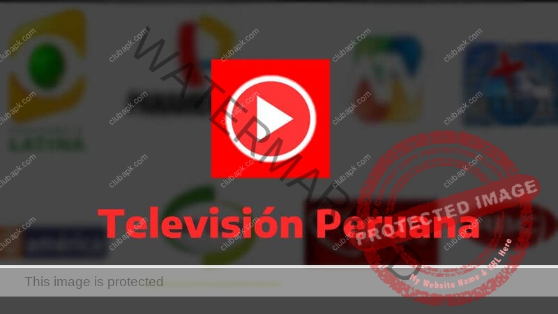 Canales De Television 2024